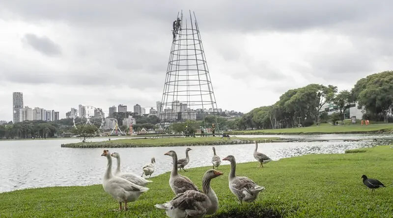 Contagem regressiva para o Natal: árvore gigante começa a ser montada em Curitiba